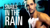 Snails_in_the_Rain