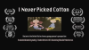 I_Never_Picked_Cotton