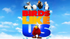 Birds_Like_Us