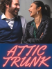 Attic_Trunk