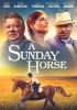 A_Sunday_Horse