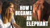 How_I_became_an_elephant