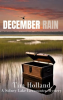 December_Rain