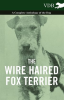 The_Wire_Haired_Fox_Terrier