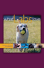 What_Labs_Love
