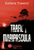 Trafic____maripasoula