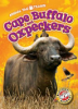 Cape_buffalo_and_oxpeckers