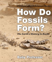 How_Do_Fossils_Form_