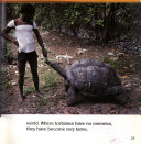 Turtle_and_tortoise