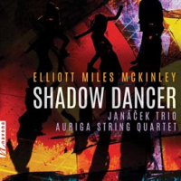 Shadow_Dancer