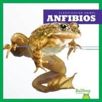 Anfibios__Amphibians_
