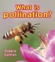 What_is_pollination_