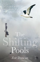 Shifting_Pools
