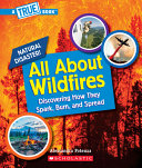 All_about_wildfires