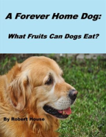 A_Forever_Home_Dog__What_Fruits_Can_Dogs_Eat_