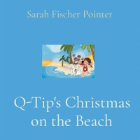 Q-Tip_s_Christmas_on_the_Beach