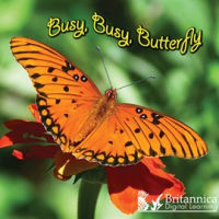 Busy__Busy__Butterfly