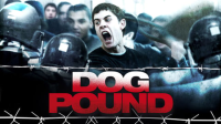 Dog_Pound