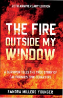 The_Fire_Outside_My_Window