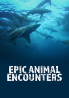 Epic_Animal_Encounters_-_Season_1