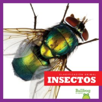 Insectos__Insects_