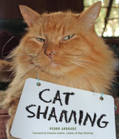 Cat_Shaming