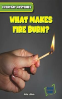 What_Makes_Fire_Burn_
