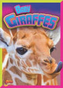 Baby_giraffes