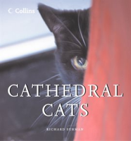 Cathedral_Cats