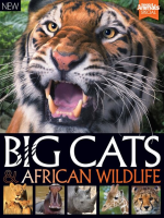 World_of_Animals_Book_of_Big_Cats_and_African_Wildlife