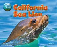 California_Sea_Lion