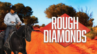 Rough_Diamonds