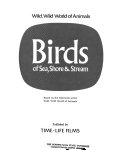 Birds_of_sea__shore____stream