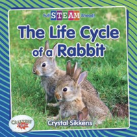 The_Life_Cycle_of_a_Rabbit