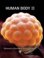 Human_Body_II