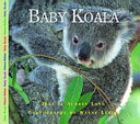 Baby_koala