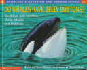 Do_whales_have_belly_buttons_