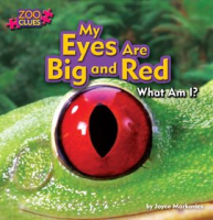 My_Eyes_Are_Big_and_Red__Tree_Frog_