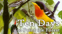 Ten_days_to_paint_the_forest