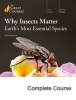 Why_Insects_Matter