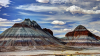 Petrified_Forest_and_Other_Fossil_Parks