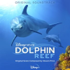 Dolphin_Reef