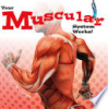 Your_muscular_system_works_
