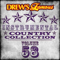 Drew_s_Famous_Instrumental_Country_Collection__Vol__58_