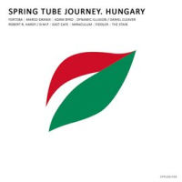Spring_Tube_Journey__Hungary