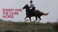 Sunny_and_the_dark_horse