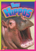 Baby_hippos